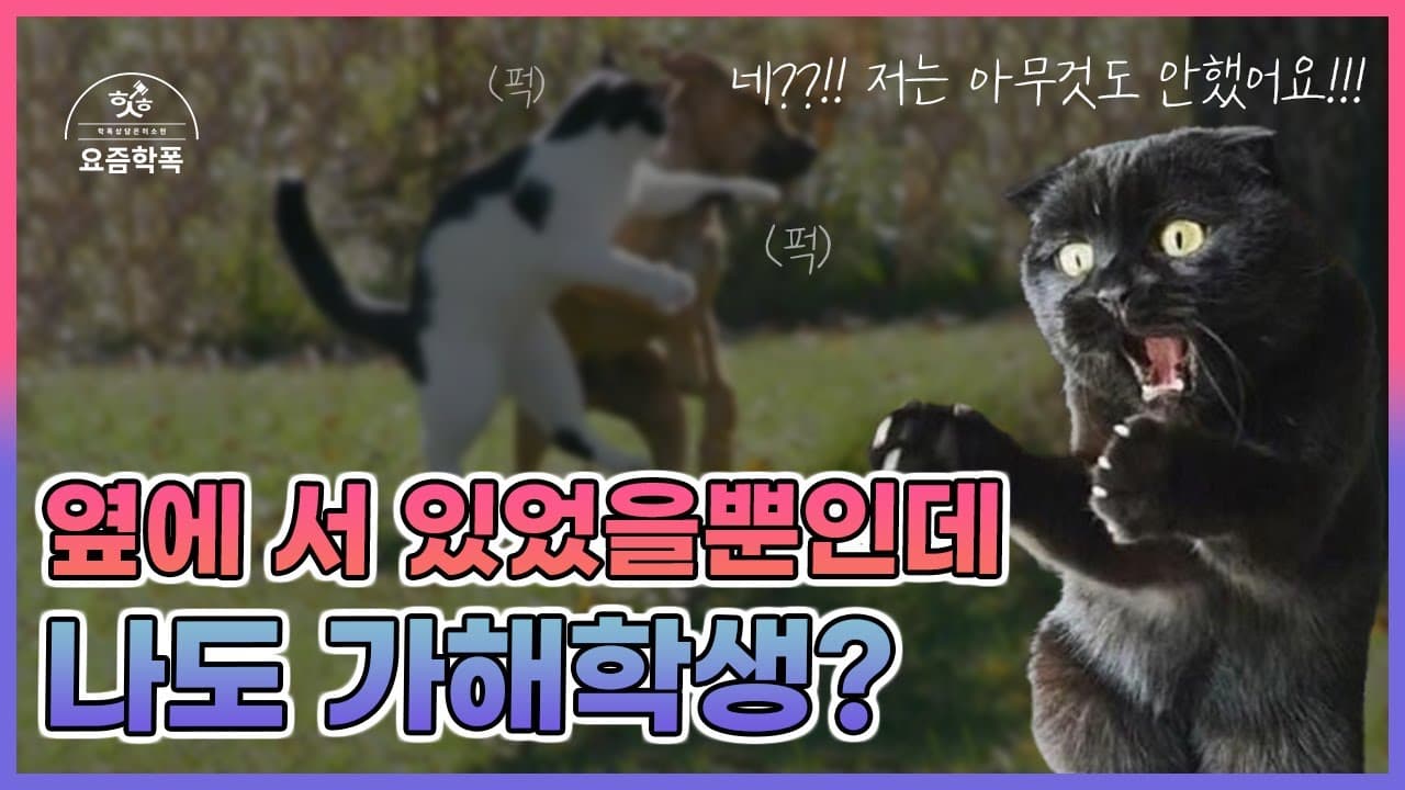 학교폭력 현장에 있었다고 가해자로 신고됐어요, 처벌받나요? 조치 없음 받은 실제 사례